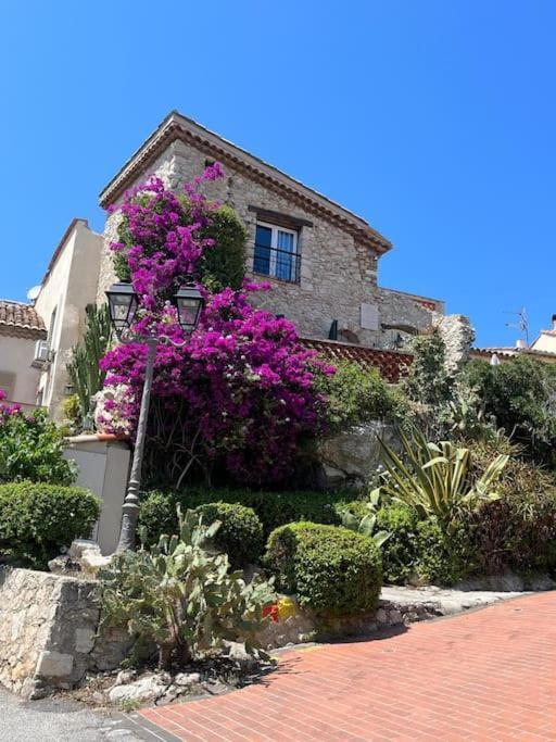 Strelizia - New Central Old Antibes For 4 Ac Exteriér fotografie